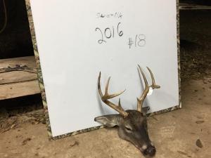 2016Deer02