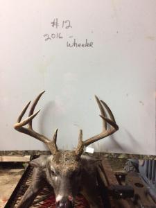 2016Deer08