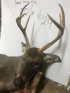 2016Deer09