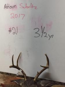 2017Deer005