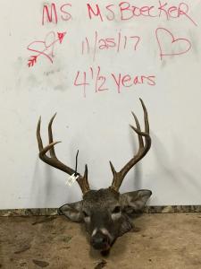 2017Deer023