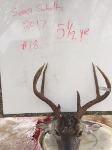 2017Deer024