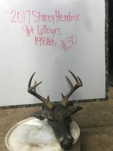 2017Deer025