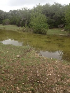 At the TXHuntingGround ranch                   