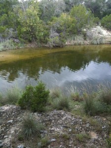 At the TXHuntingGround ranch                                   