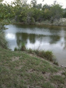 At the TXHuntingGround ranch                    