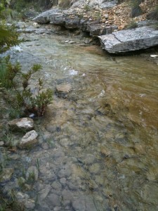 At the TXHuntingGround ranch                            