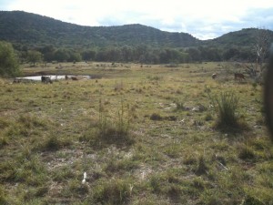 At the TXHuntingGround ranch                           